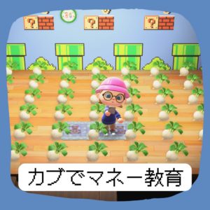 カブでマネー教育～あつまれどうぶつの森～